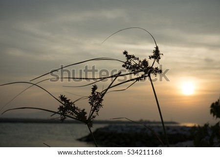 sunset in Pattaya beach Thailand