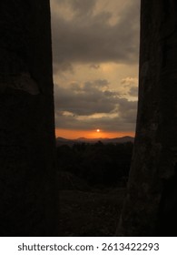 A sunset peeks through silhouetted trees.