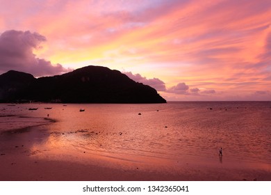 sunset in pink