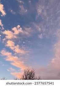 Sunset. Pink and blue clouds.
