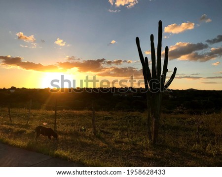 Sunset in Piranhas, AL, Brazil Foto stock © 