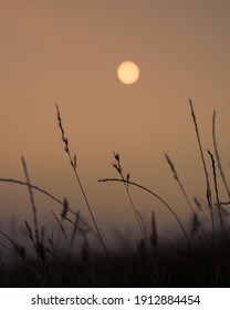 Sunset Portrait Shot Across The South Downs, East Sussex. 