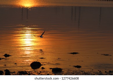 Sunset At Queensborough, Isle Of Sheppey, UK.