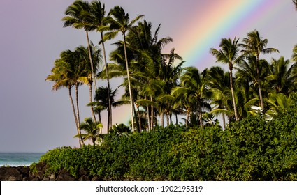 
Sunset With Rainbows, Beautiful Coconut Trees And A Royal Blue Water On The North Shore Of The Oauha Hawaii - HI - USA