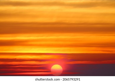 Sunset Red Hot Sky And Silhouette Tree And Birds Flying Come Home