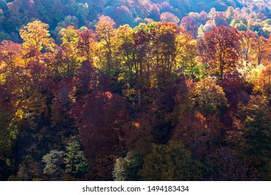 Imágenes Fotos De Stock Y Vectores Sobre Autumn In Tohoku - 