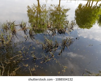 Sunset reflection in water