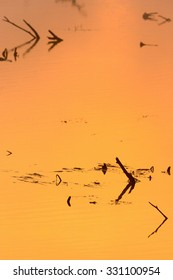 Sunset reflections in the water