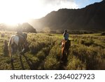 The sunset is riding a horse at Kualo Aranch Park in Hawaii