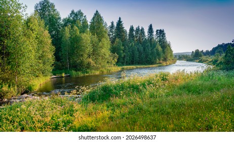 Sunset. River in a dense forest on a sunny day. Between the banks a rushing stream of water overgrown with green grass.