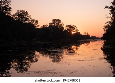 sunset in a river and a forest