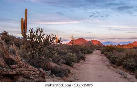 Sunset Road To No Where In The Arizona Desert Near Scottsdale, AZ. 