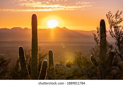 Sunset at Saguaro National Park West