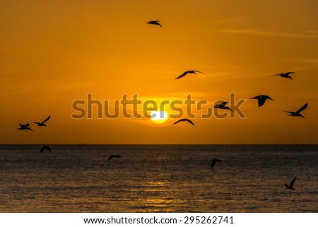 Sunset scene at Florida Keys