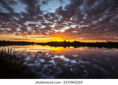 Sunset scene on the lake at sunset summer nature landscapes - Powered by Shutterstock