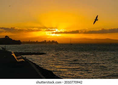 Sunset Scenery At Waitemata Harbour, Auckland New Zealand