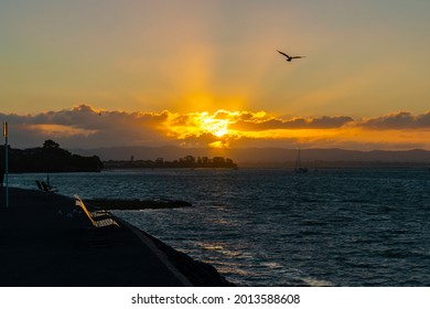 Sunset Scenery At Waitemata Harbour, Auckland New Zealand