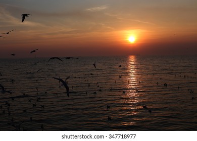 sunset at the sea