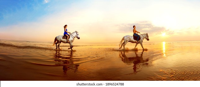 Sunset at sea. Horses on a background of sky and water. Couple in love in summer in the sun.Tourists on vacation on ocean