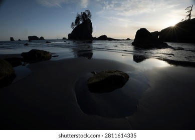 Sunset Sea Stack Beach with Driftwood and Reflections