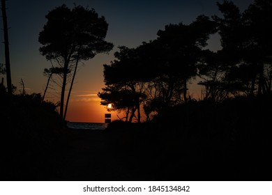 Sunset At Sea Tree Silouette