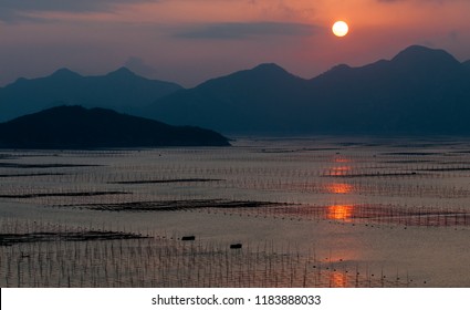 Sunset At Sea Weed Farm Of Xiapu, China