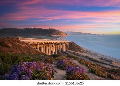 Sunset Seat Torrey Pines State Beach - San Diego, California - Shutterstock ID 2156158625