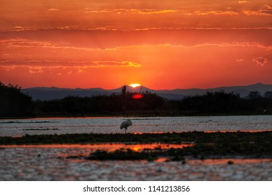 Sunset In Selous Game Reserve, Tanzania