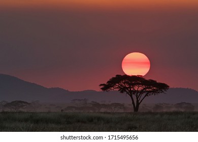 Sunset In The Serengeti On Safari