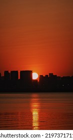 Sunset At Shenzhen Bay Park