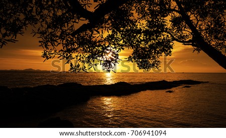 A sunset shining through the trees