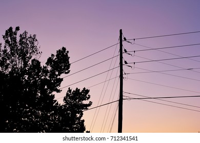 Sunset silhouette