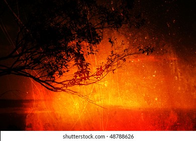 Sunset Silhouette Of A Gum Tree