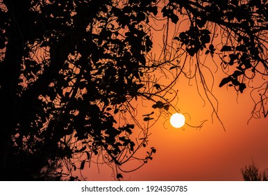 Sunset silhouette and the sun