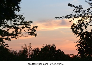 Sunset and silhouetted trees at dusk during Spring