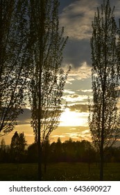 Sunset silhouettes.  Sunset with clouds, sky and trees in silhouette.