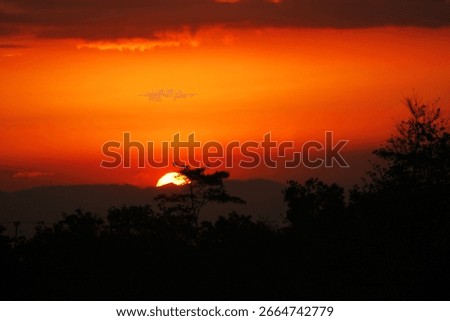 Sunset silhuette with dramatic light.