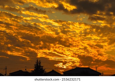 Sunset sky with house roofs and tree silhouette - Powered by Shutterstock