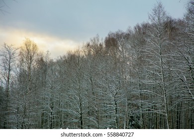 Sunset sky over the forest