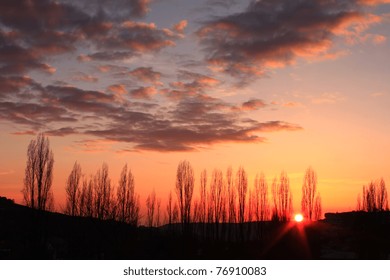 Sunset sky over the trees