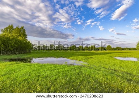 Sunset sky, spring evening landscape, soft sunlight on the grass. A large puddle in the middle of a plowed field. Swampy field, evening rural landscape.