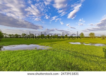 Sunset sky, spring evening landscape, soft sunlight on the grass. A large puddle in the middle of a plowed field. Swampy field, evening rural landscape.