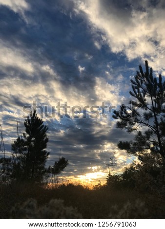 Sunset sky in summer