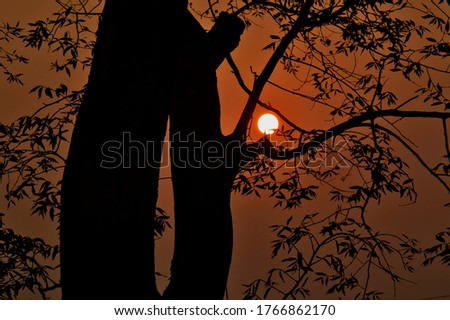 Similar – Image, Stock Photo silhouettes before glowing sun