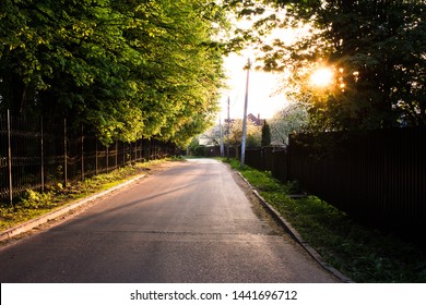 Sunset in the sky. Trees summer spring. Water.