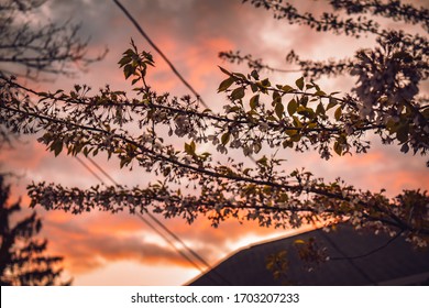 Sunset Sky In Westfield, NJ New Jersey