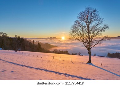   sunset in the snowy Bregenzer Wald area of Vorarlberg, Austria with spectacular view on Mount Saentis above a sea of fog, Switzerland, Sulzberg, Austria, landscape
                             