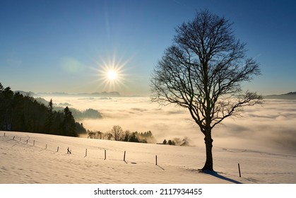   sunset in the snowy Bregenzer Wald area of Vorarlberg, Austria with spectacular view on Mount Saentis above a sea of fog, Switzerland, Sulzberg, Austria, landscape
                              - Shutterstock ID 2117934455