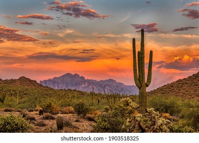 Закат в пустыне Сонора недалеко от Финикса, штат Аризона