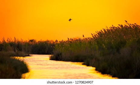 Sunset In Southeast Texas Over The Coastal Marshland